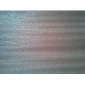 MDF furniruit sappely